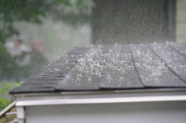 Best Gutter Installation and Repair  in Blue Ridge, AL