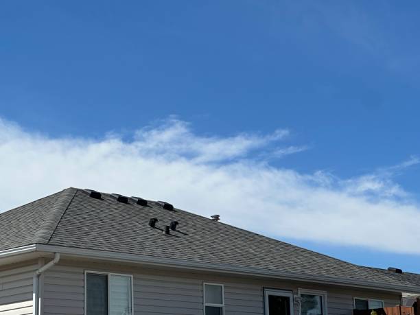 Best Chimney Flashing Repair  in Blue Ridge, AL